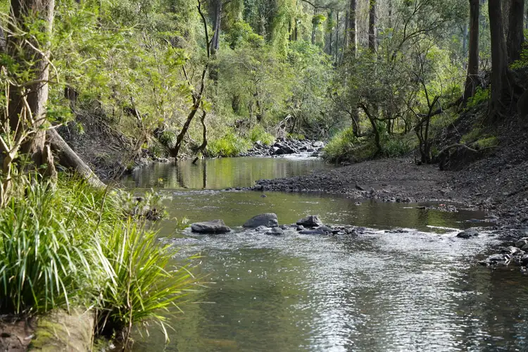 Main view of Homely rural property listing, Lot 11 Yongurra Road, Kyogle NSW 2474