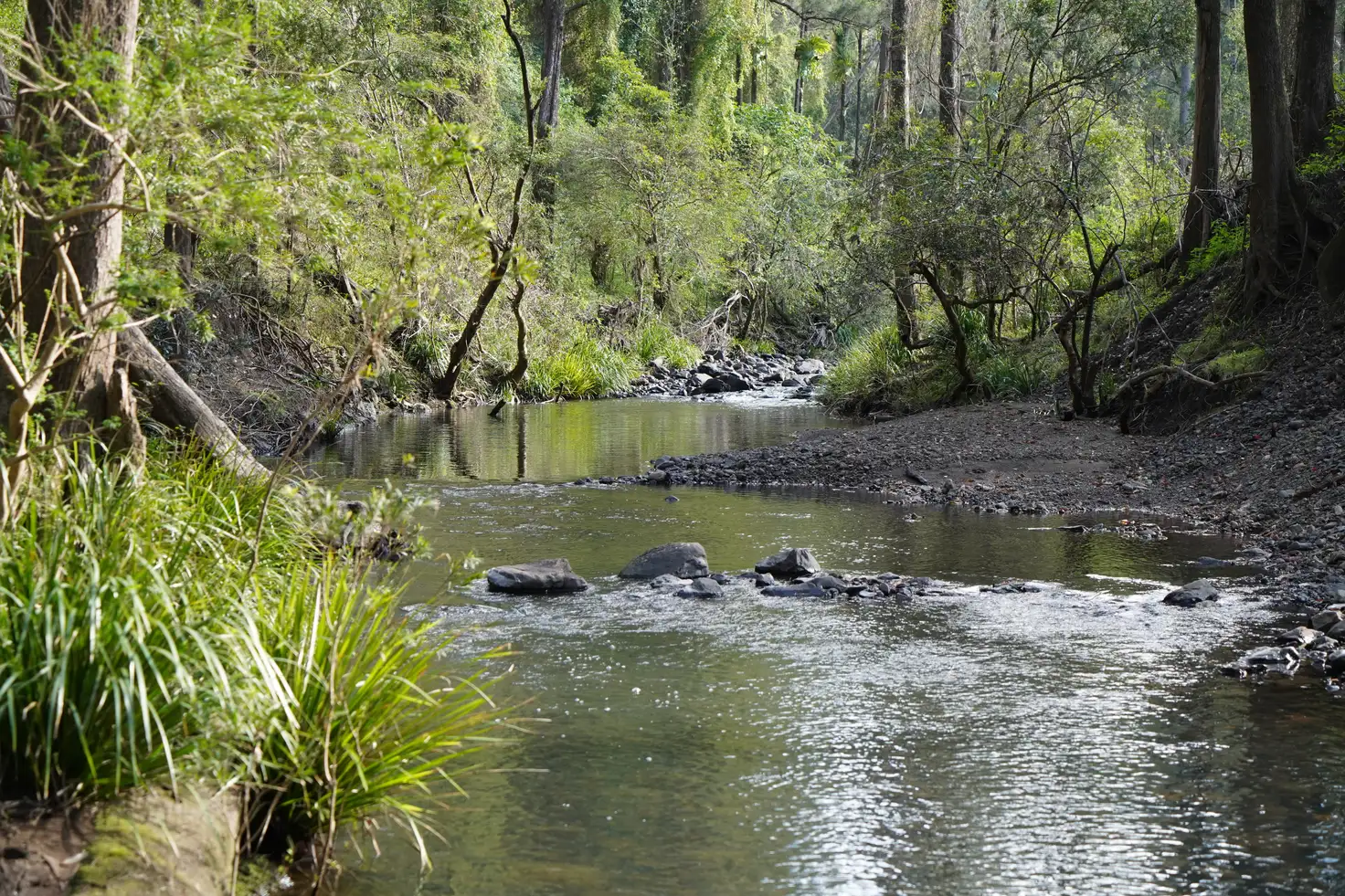 Main view of Homely rural property listing, Lot 11 Yongurra Road, Kyogle NSW 2474