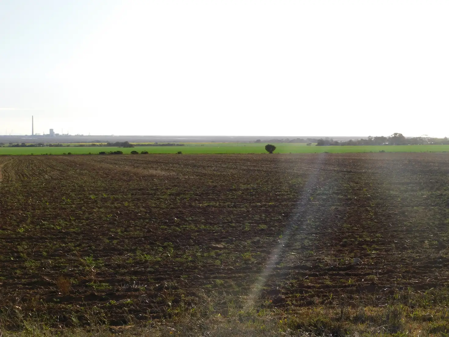 Main view of Homely land listing, Allotment 103 Jericho Road, Napperby SA 5540