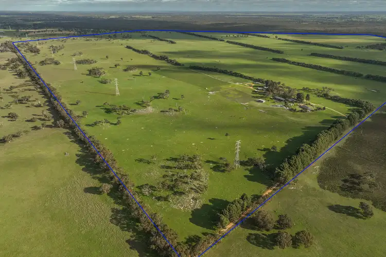 Third view of Homely rural property listing, 584 Saunders Rd, Spence SA 5271
