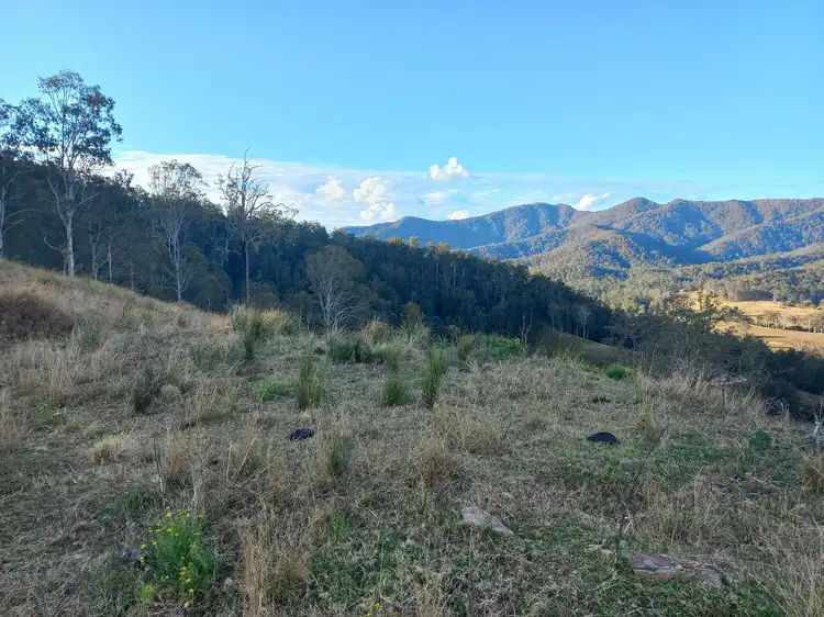 Second view of Homely land listing, Lot 21, Five Day Creek, Comara NSW 2440