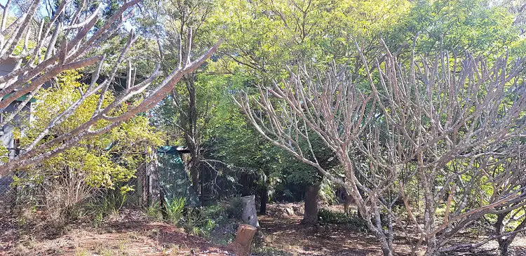 Fourth view of Homely house listing, 3 Wurruma Swamp Rd, Mount Garnet QLD 4872