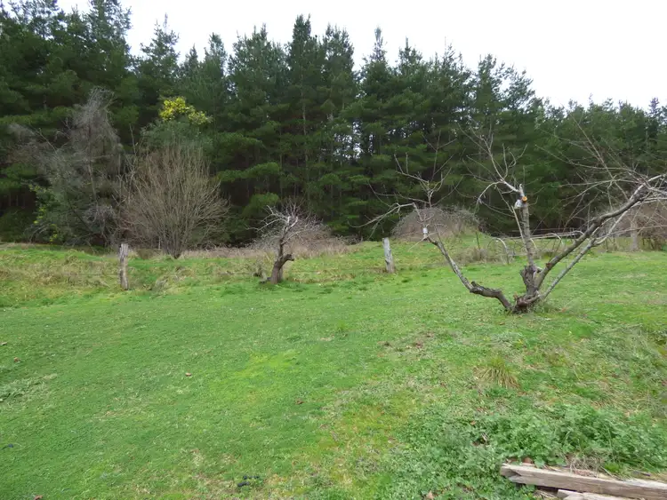 Third view of Homely house listing, 57 Great Alpine Rd, Myrtleford VIC 3737