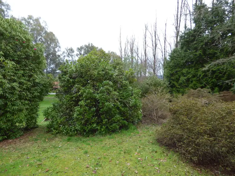 Seventh view of Homely house listing, 57 Great Alpine Rd, Myrtleford VIC 3737