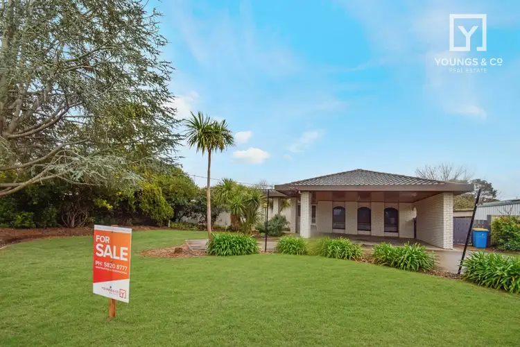 Main view of Homely house listing, 75 Balaclava Rd, Shepparton VIC 3630