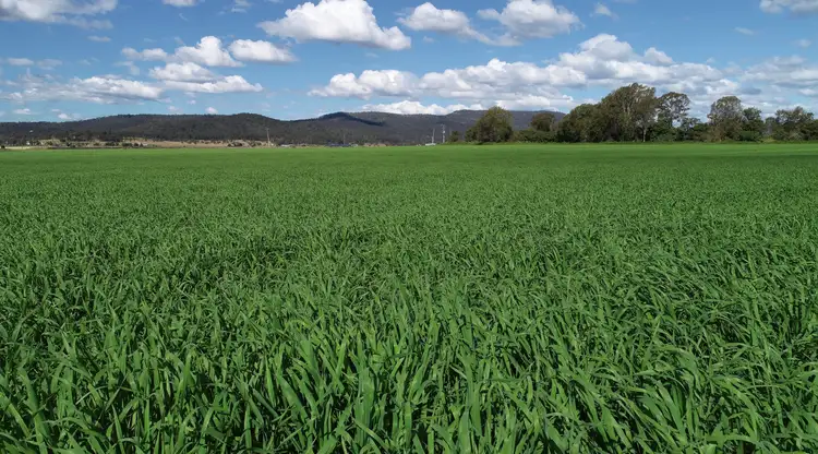 Fourth view of Homely rural property listing, 17 Lester Lane W, Laidley South QLD 4341
