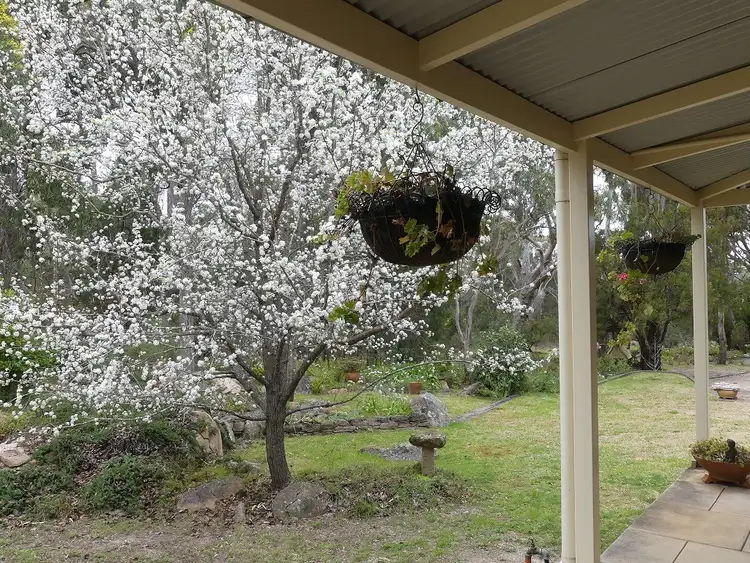 Fourth view of Homely rural property listing, 580 Nundubbermere Rd, Nundubbermere QLD 4380