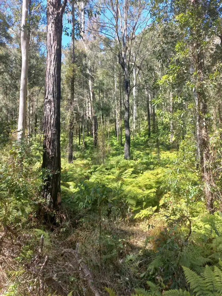 Third view of Homely land listing, LOT 14, Lot 14, 1762 Five Day Creek Road, Comara NSW 2440