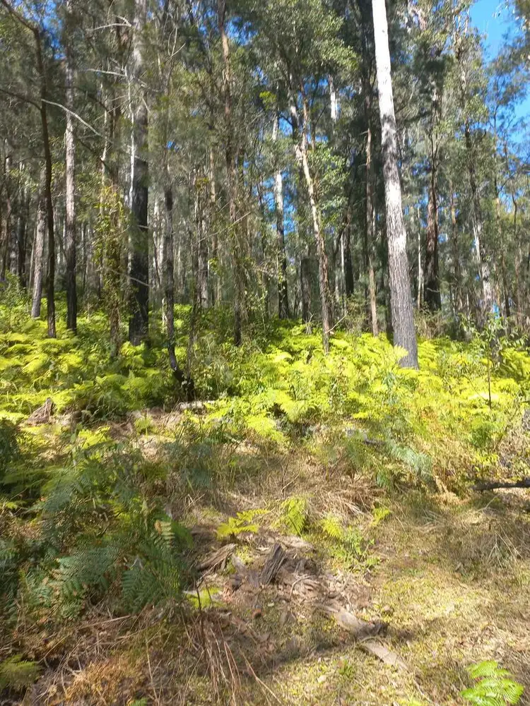 Fifth view of Homely land listing, LOT 14, Lot 14, 1762 Five Day Creek Road, Comara NSW 2440