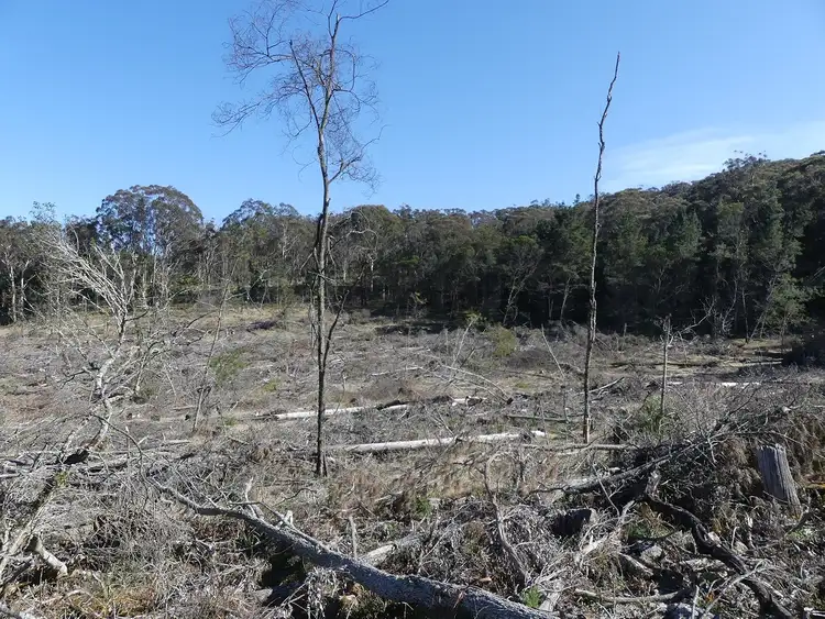 Second view of Homely land listing, 458 Brown Gully Rd, Sugarloaf QLD 4380