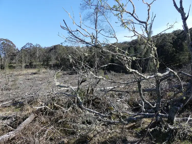 Fourth view of Homely land listing, 458 Brown Gully Rd, Sugarloaf QLD 4380