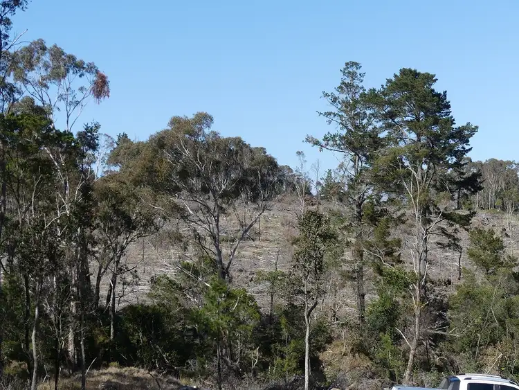 Fifth view of Homely land listing, 458 Brown Gully Rd, Sugarloaf QLD 4380
