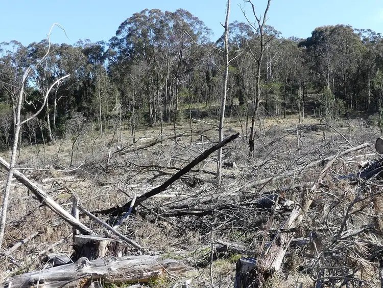 Sixth view of Homely land listing, 458 Brown Gully Rd, Sugarloaf QLD 4380
