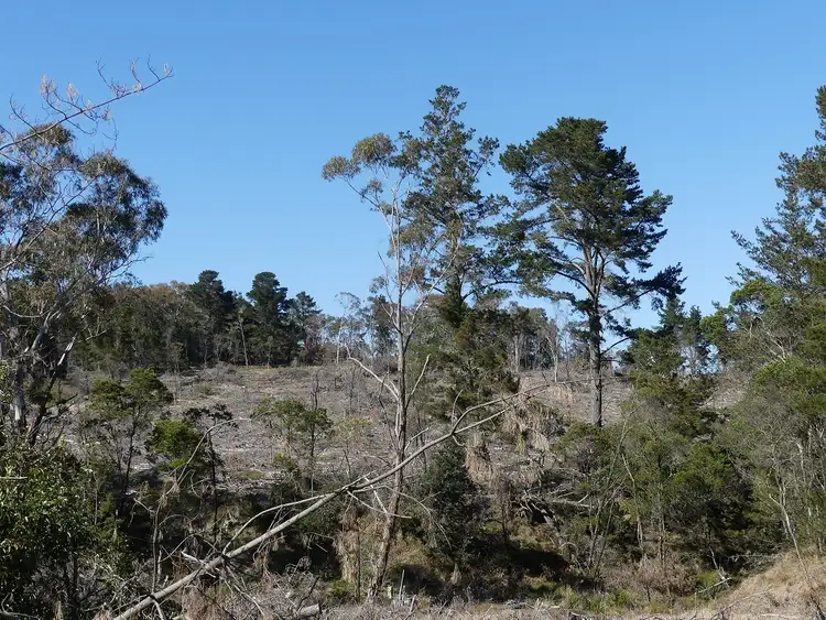 Seventh view of Homely land listing, 458 Brown Gully Rd, Sugarloaf QLD 4380