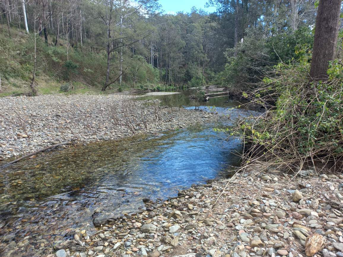 Main view of Homely land listing, LOT 12, 1762 Five Day Creek Road, Comara NSW 2440
