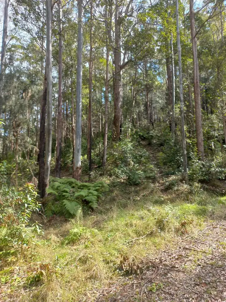 Fourth view of Homely land listing, LOT 12, 1762 Five Day Creek Road, Comara NSW 2440