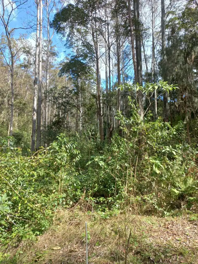 Fifth view of Homely land listing, LOT 12, 1762 Five Day Creek Road, Comara NSW 2440