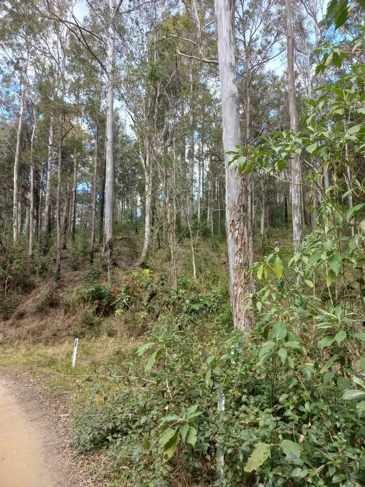 Sixth view of Homely land listing, LOT 12, 1762 Five Day Creek Road, Comara NSW 2440