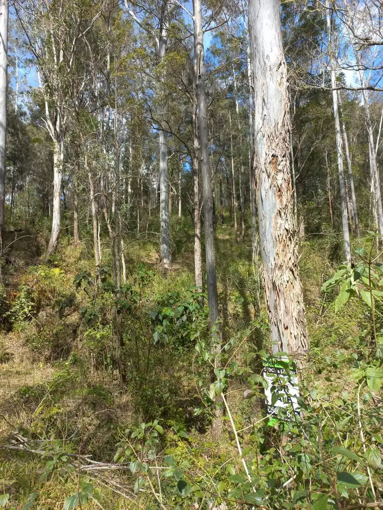 Seventh view of Homely land listing, LOT 12, 1762 Five Day Creek Road, Comara NSW 2440