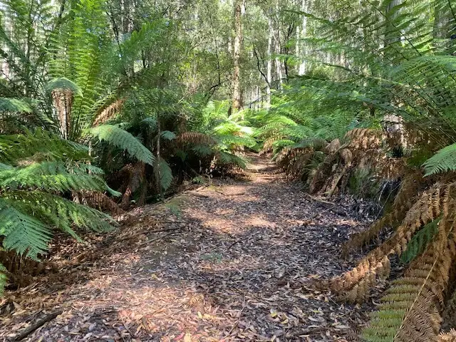 Second view of Homely land listing, Lot 1 Deacon Drive, Penguin TAS 7316