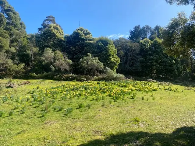 Fifth view of Homely land listing, Lot 1 Deacon Drive, Penguin TAS 7316