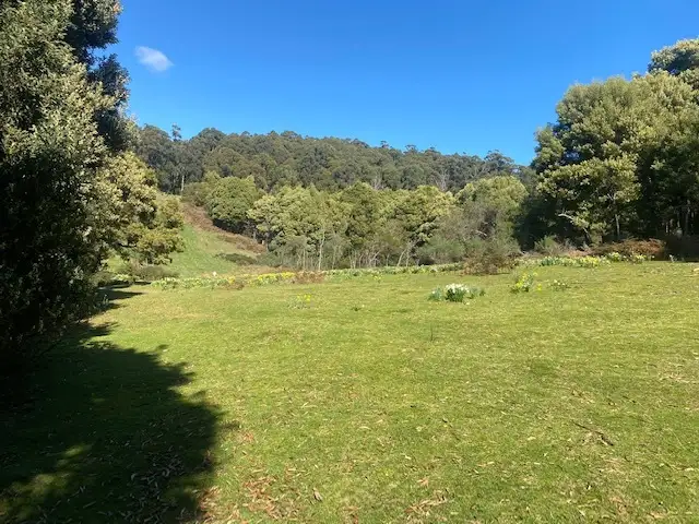Sixth view of Homely land listing, Lot 1 Deacon Drive, Penguin TAS 7316