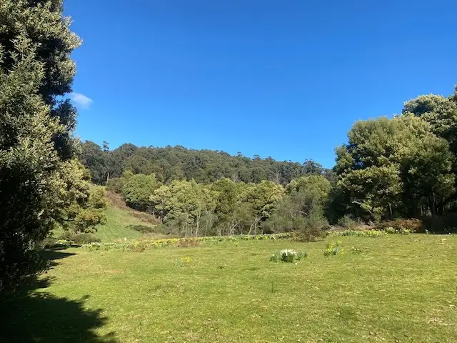 Seventh view of Homely land listing, Lot 1 Deacon Drive, Penguin TAS 7316