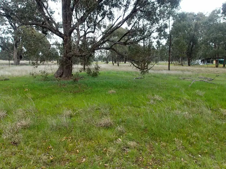 Main view of Homely land listing, 199 Coreen School Road, Coreen NSW 2646