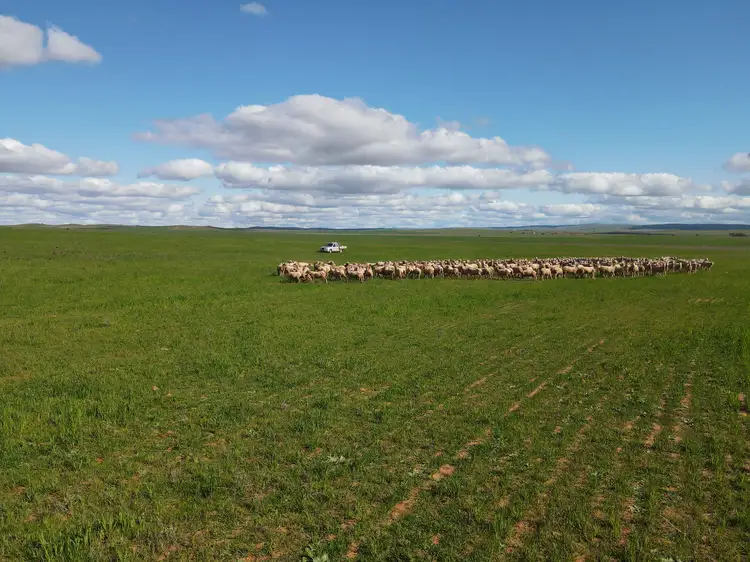 Main view of Homely rural property listing, 638 Earle Rd, Sunnybrae SA 5422