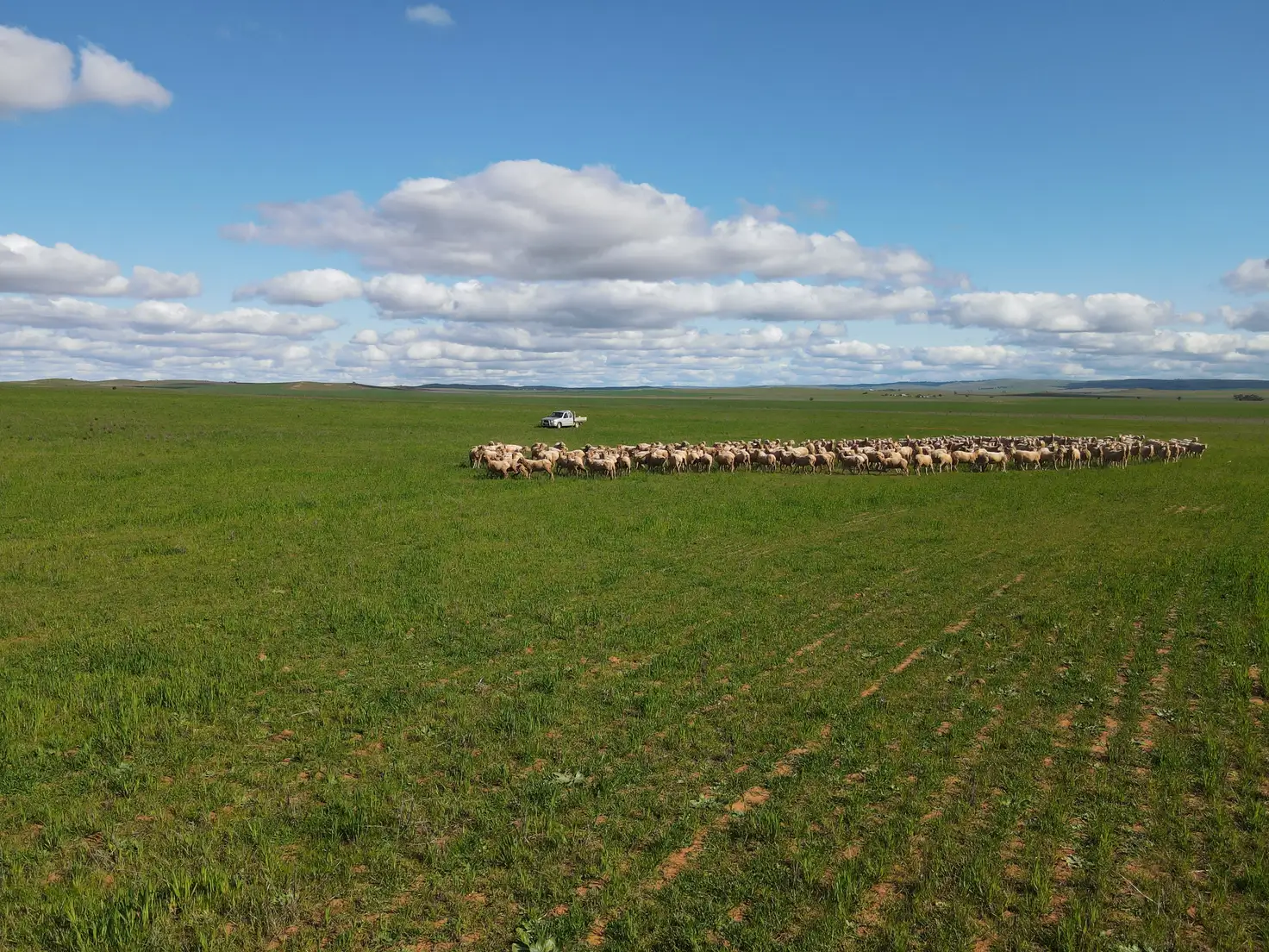 Main view of Homely rural property listing, 638 Earle Rd, Sunnybrae SA 5422
