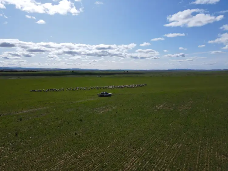 Fourth view of Homely rural property listing, 638 Earle Rd, Sunnybrae SA 5422