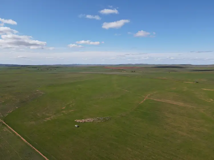 Fifth view of Homely rural property listing, 638 Earle Rd, Sunnybrae SA 5422