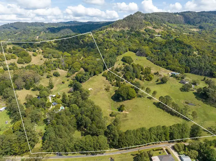 Third view of Homely rural property listing, 98 Yankee Creek Rd, Mullumbimby Creek NSW 2482
