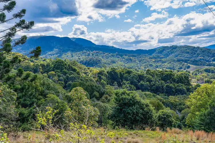 Fourth view of Homely rural property listing, 98 Yankee Creek Rd, Mullumbimby Creek NSW 2482