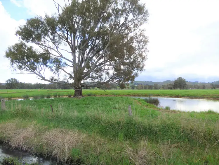 Second view of Homely rural property listing, 714 Whorouly Road, Whorouly VIC 3735