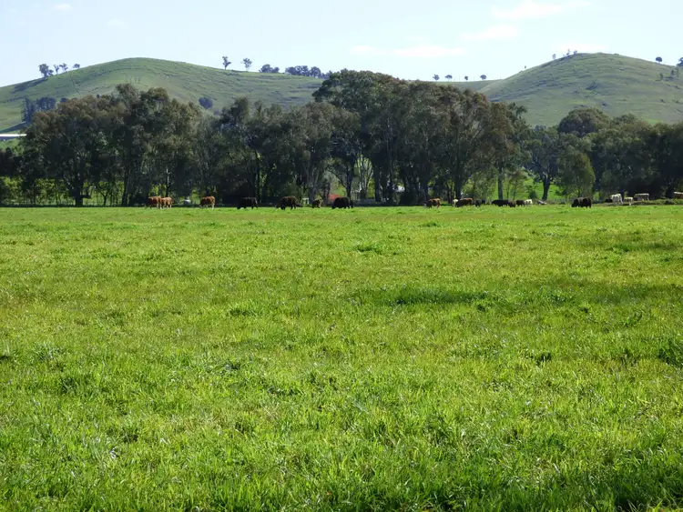 Sixth view of Homely rural property listing, 714 Whorouly Road, Whorouly VIC 3735