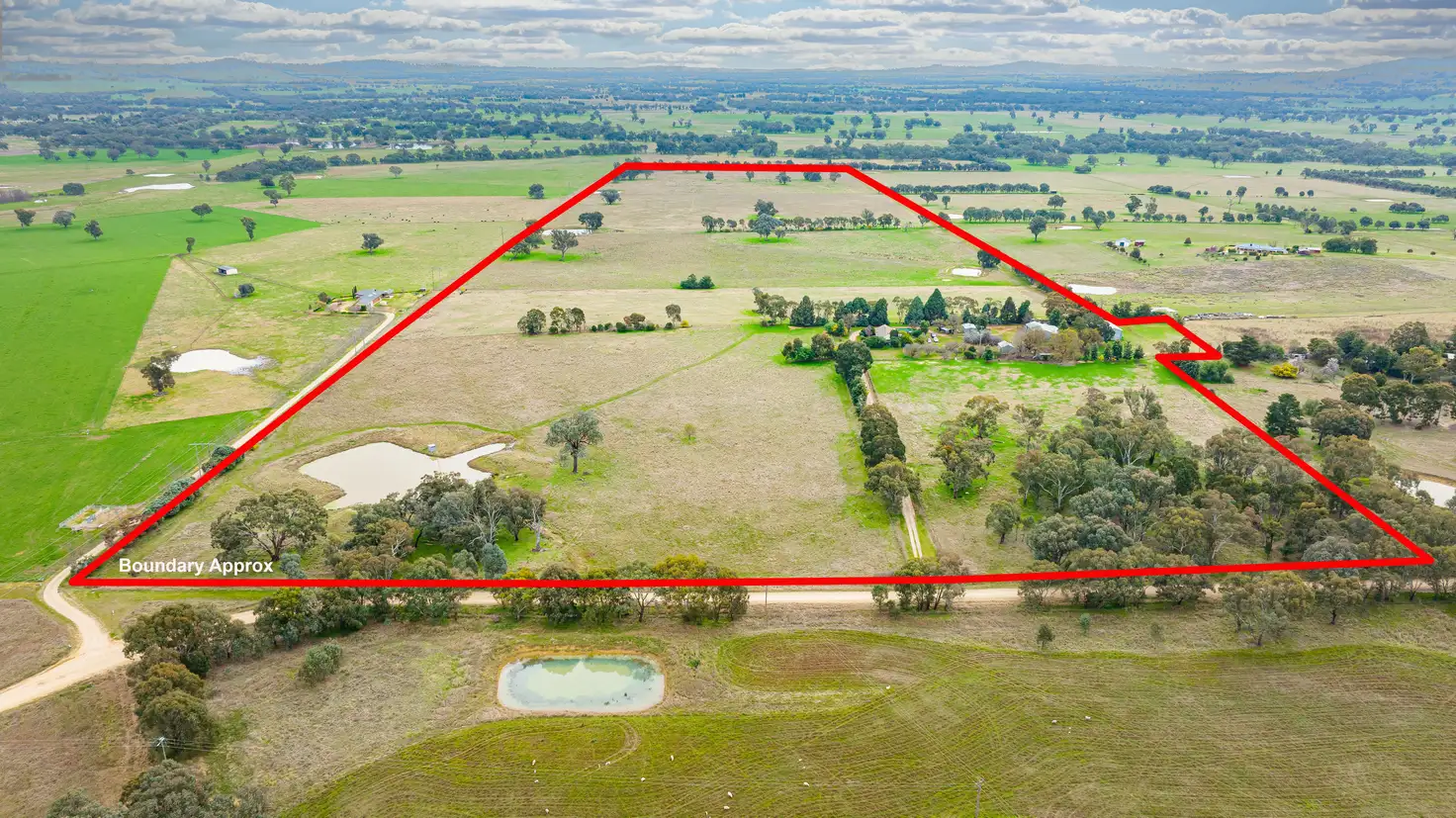 Main view of Homely rural property listing, 29 Nioka Rd, Jindera NSW 2642