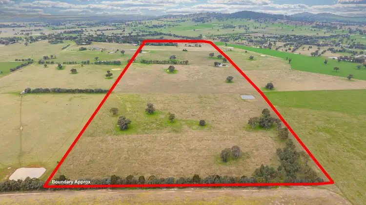 Second view of Homely rural property listing, 29 Nioka Rd, Jindera NSW 2642