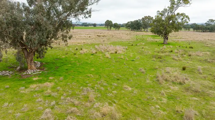 Third view of Homely rural property listing, 29 Nioka Rd, Jindera NSW 2642