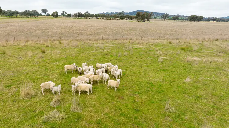 Fourth view of Homely rural property listing, 29 Nioka Rd, Jindera NSW 2642