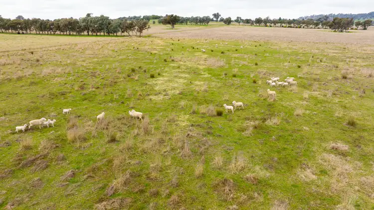 Fifth view of Homely rural property listing, 29 Nioka Rd, Jindera NSW 2642