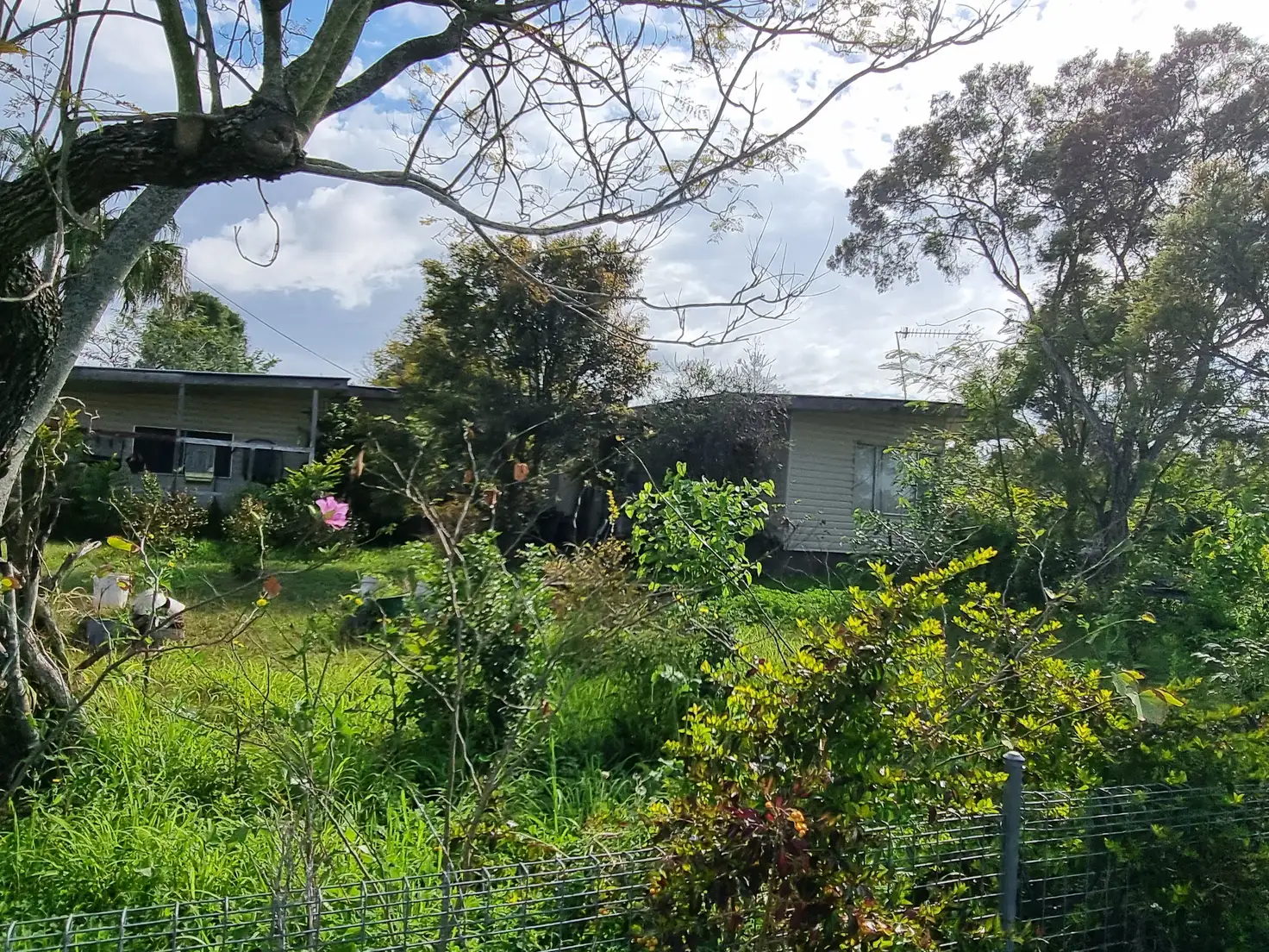 Main view of Homely house listing, 16 Stuart St, Monto QLD 4630