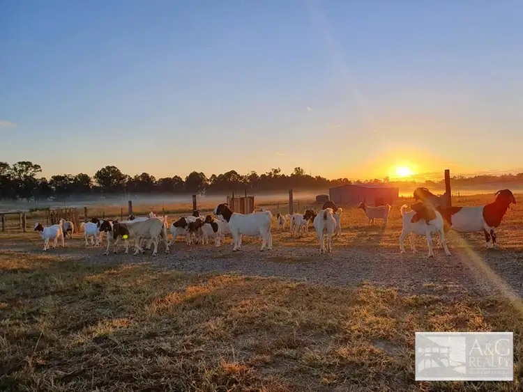 Fourth view of Homely rural property listing, 18 Denison Lane, Mungar QLD 4650