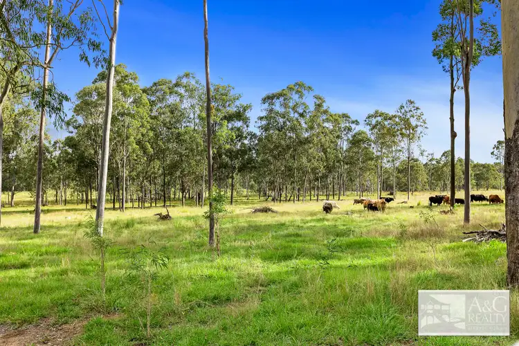 Main view of Homely rural property listing, 234 Owanyilla Boundary Rd E, Owanyilla QLD 4650