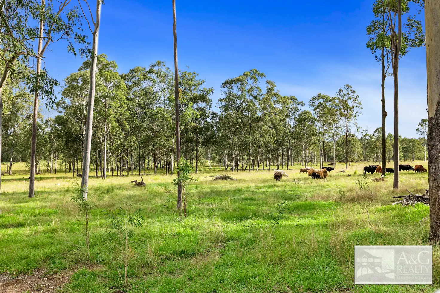 Main view of Homely rural property listing, 234 Owanyilla Boundary Rd E, Owanyilla QLD 4650