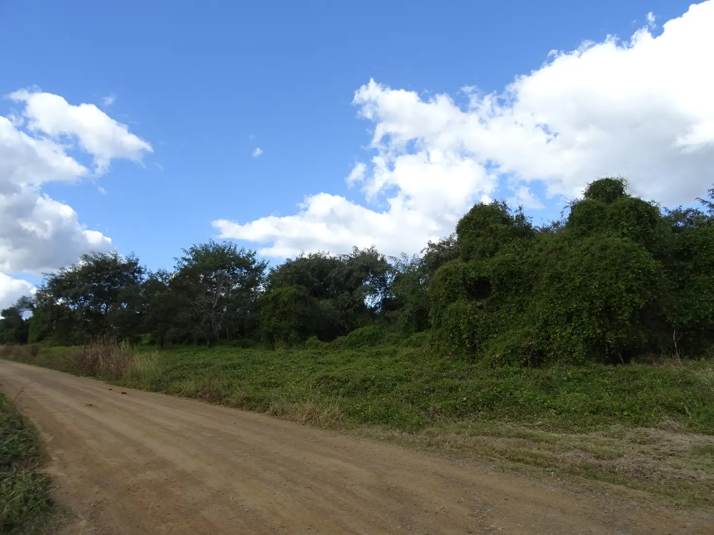 Main view of Homely land listing, Lot 442 Stanfield Road, Teviotville QLD 4309