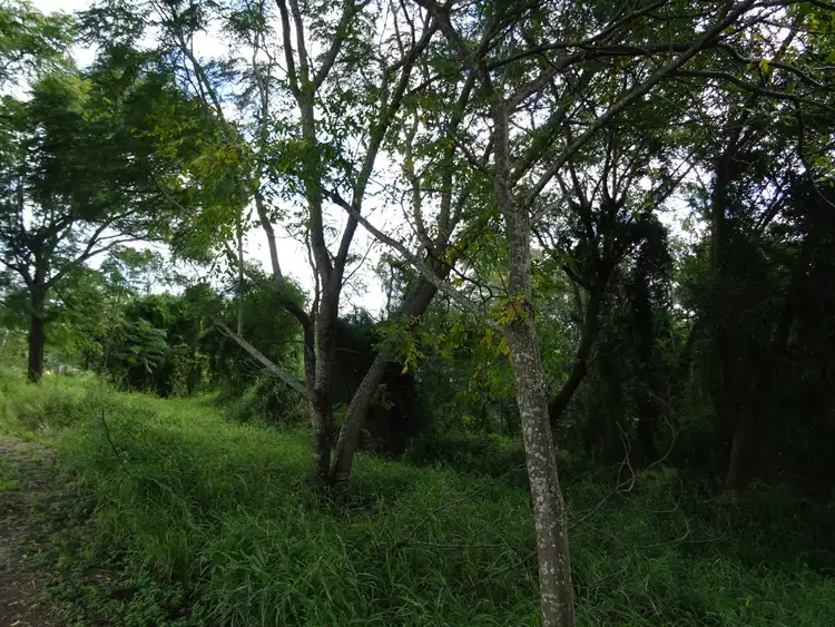 Seventh view of Homely land listing, Lot 442 Stanfield Road, Teviotville QLD 4309