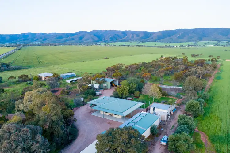 Main view of Homely house listing, 364 Nelshaby Rd, Napperby SA 5540