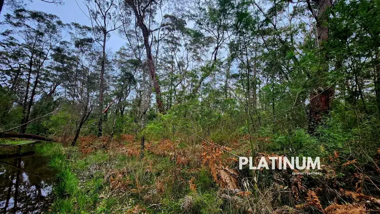 Fifth view of Homely land listing, 69D Streamside Street, Woollamia NSW 2540