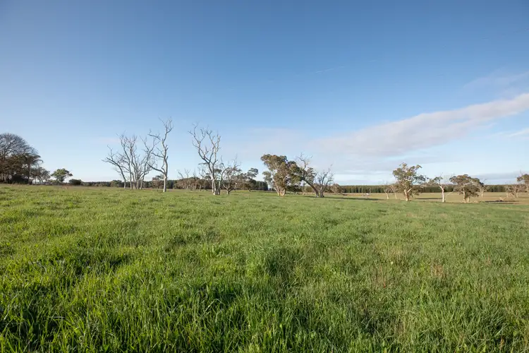Second view of Homely rural property listing, 1318 Charcutt Rd, Coles SA 5272